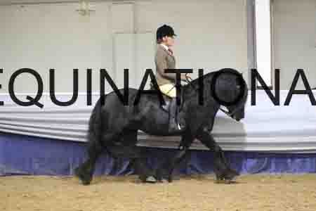 RUV-1431