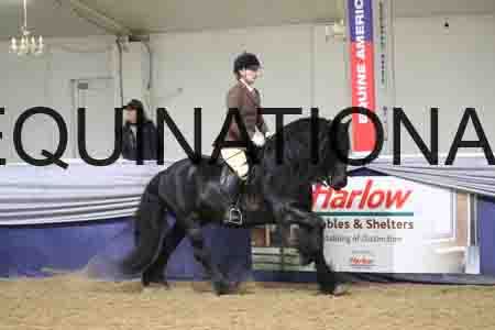 RUV-1450