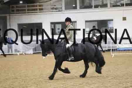 RUV-1485
