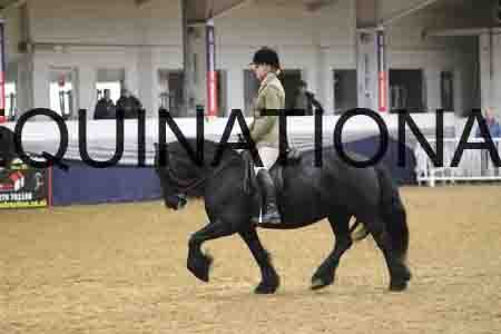 RUV-1487