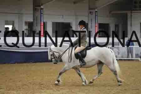 RUV-1494