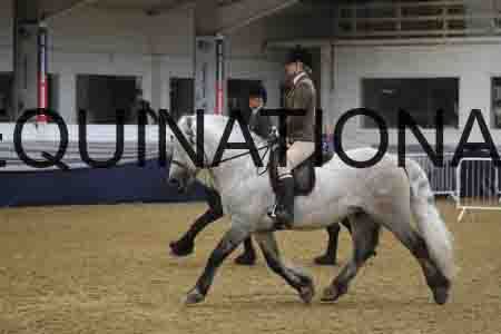 RUV-1496