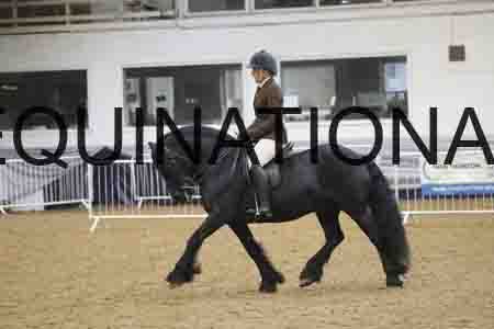 RUV-1498