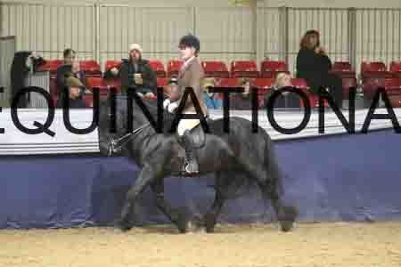 RUV-1538