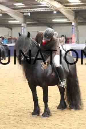 RUV-1641
