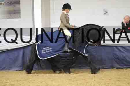 RUV-1677