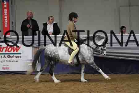 RUV-1794