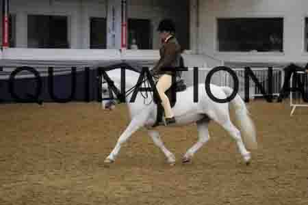 RUV-1818