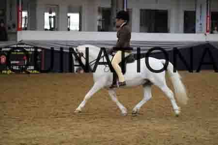 RUV-1819