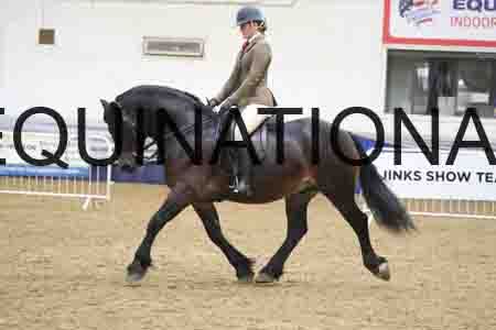RUV-2069