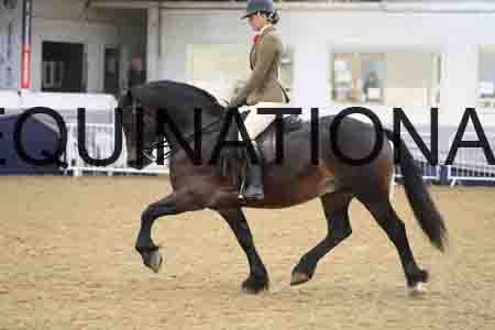 RUV-2071