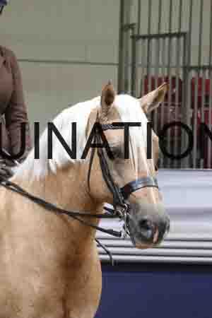 RUV-2092