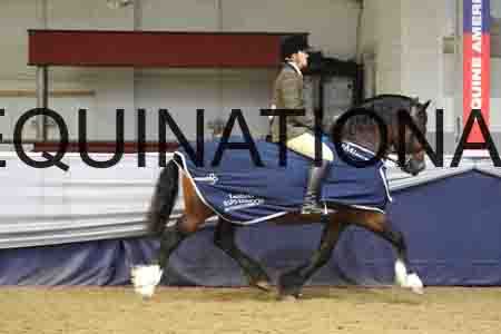 RUV-2186