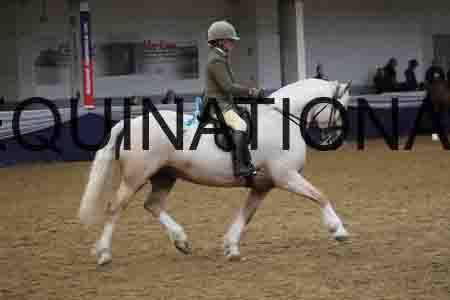 RUV-2191