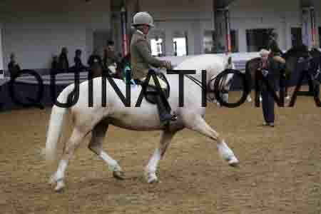RUV-2192