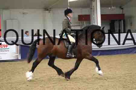RUV-2196