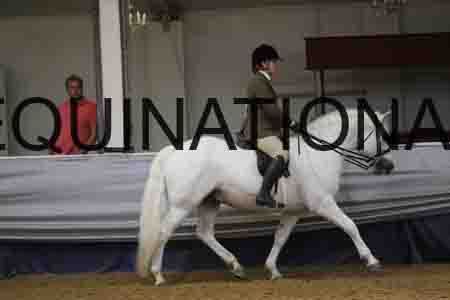 RUV-2288