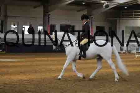 RUV-2382