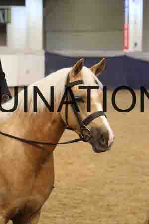 RUV-2812