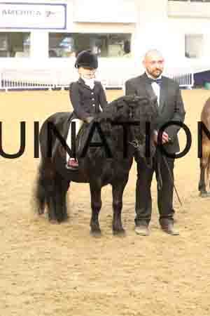 RUV-2874