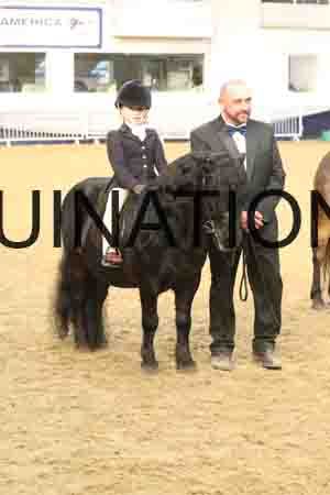 RUV-2875