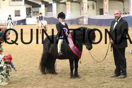 RUV-2879
