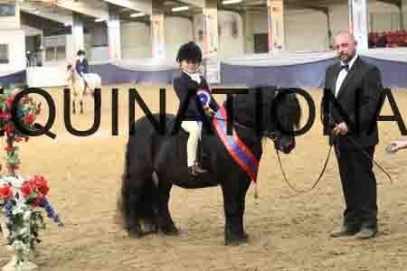 RUV-2880