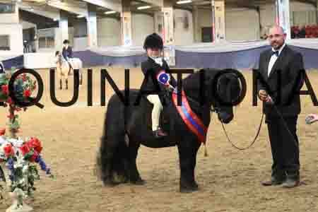 RUV-2881