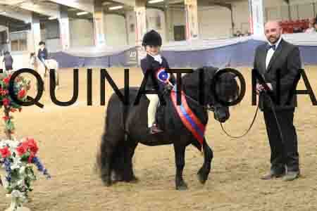 RUV-2887