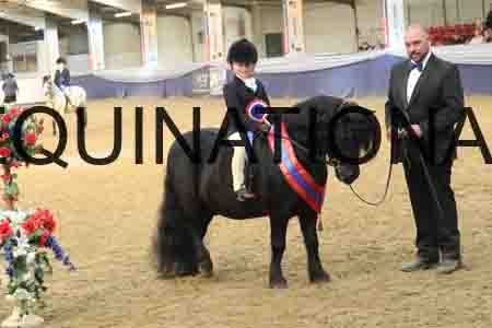 RUV-2888