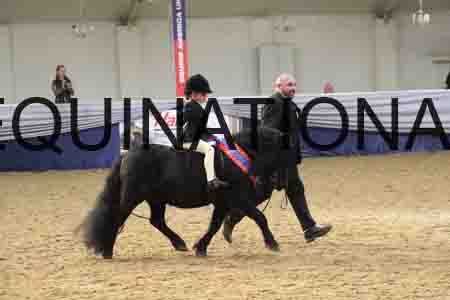RUV-2907