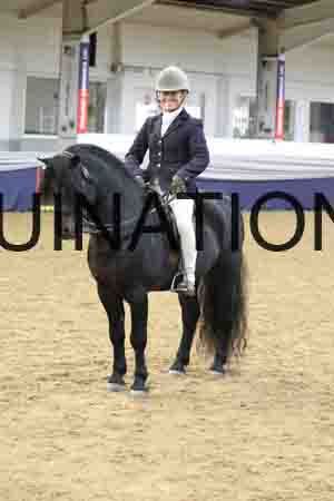 RUV-2919