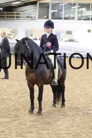 RUV-2921