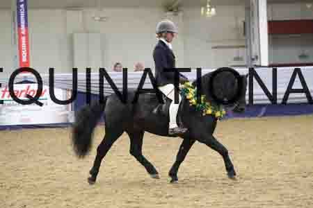 RUV-2987
