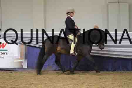 RUV-2999