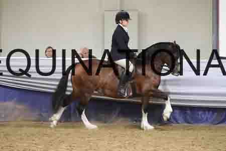 RUV-3014