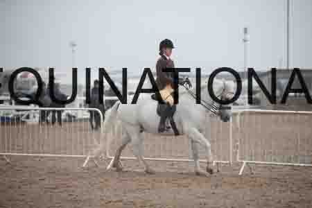 OZY-1118