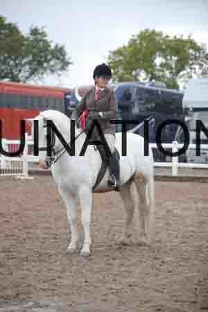 OZY-1193