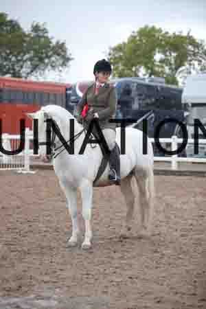 OZY-1194
