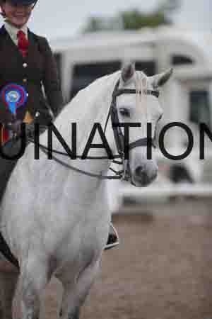 OZY-1201