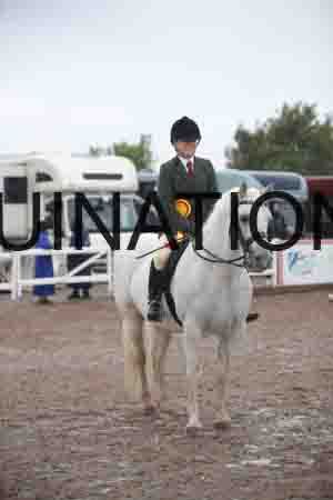 OZY-1207