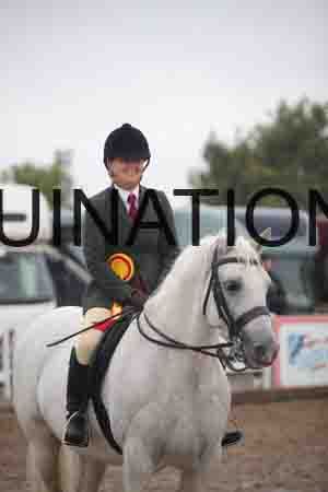 OZY-1209