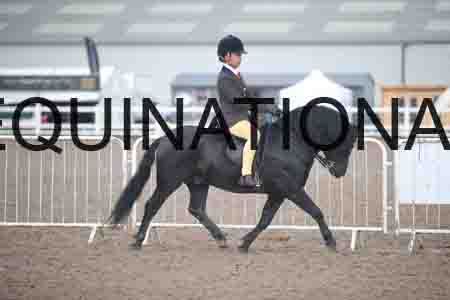 OZY-1269