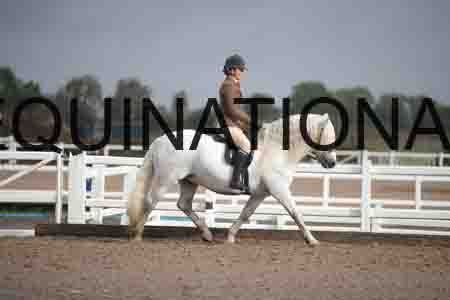 OZY-1326
