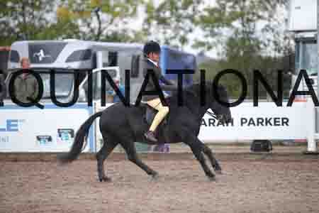 OZY-1407