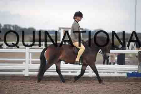 OZY-1469