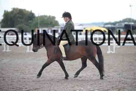 OZY-1495