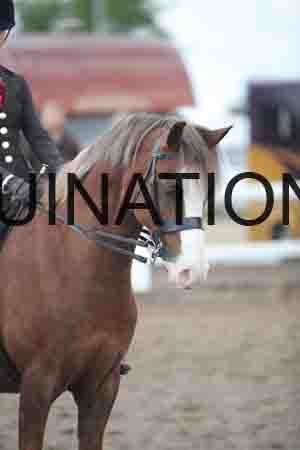 OZY-1617