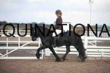 OZY-1712