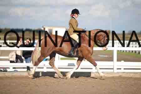 OZY-1781